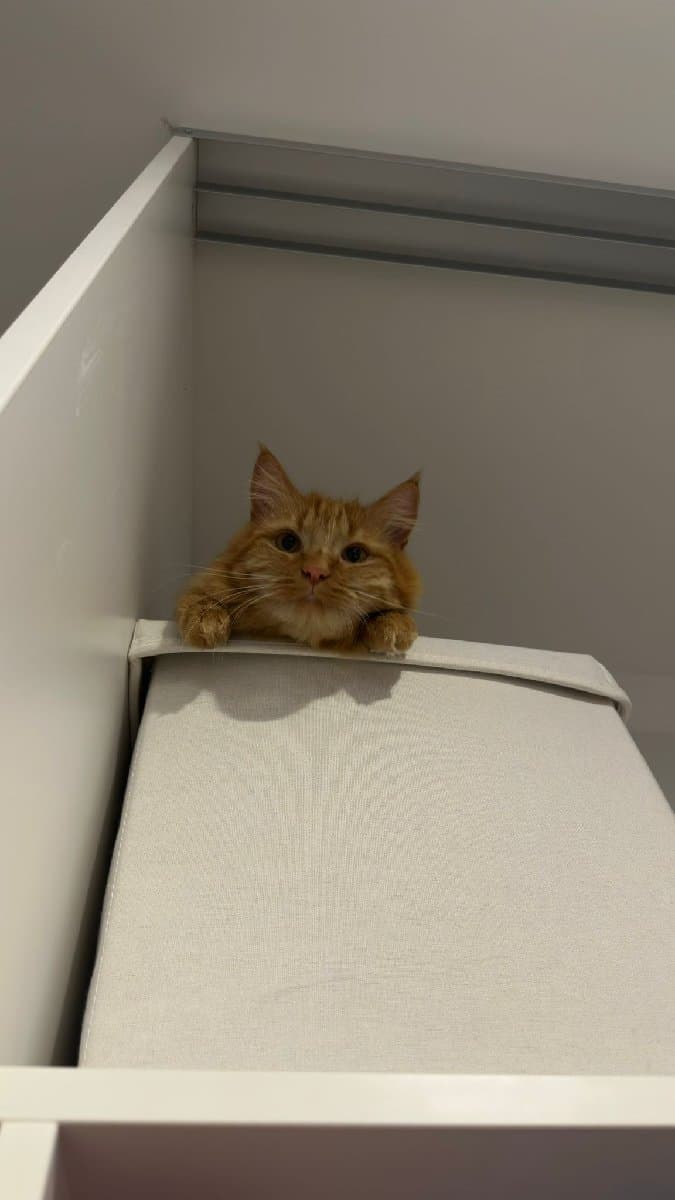 Sirisha's home photo 3