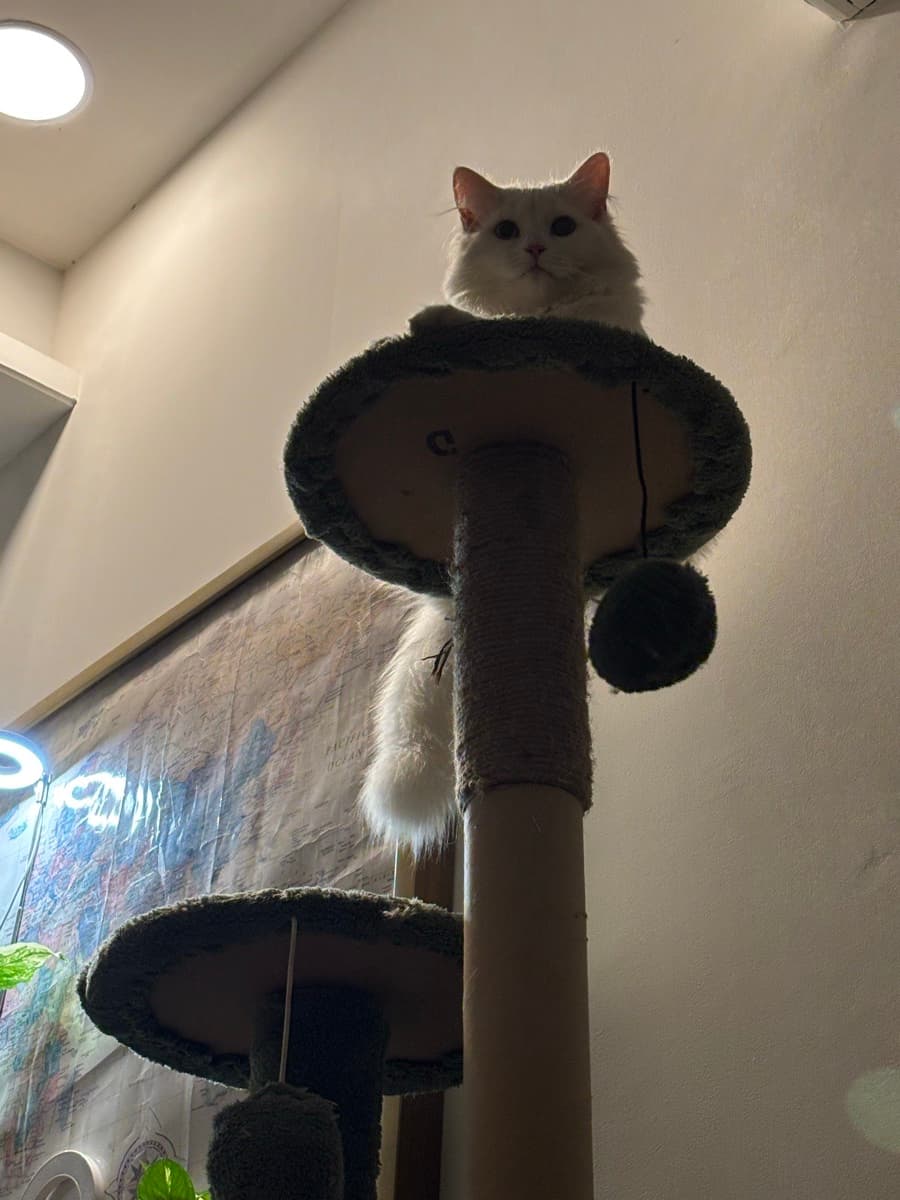 Tanvi's home photo 8