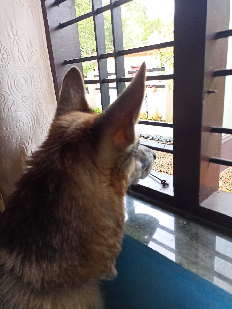 Anna's profile photo