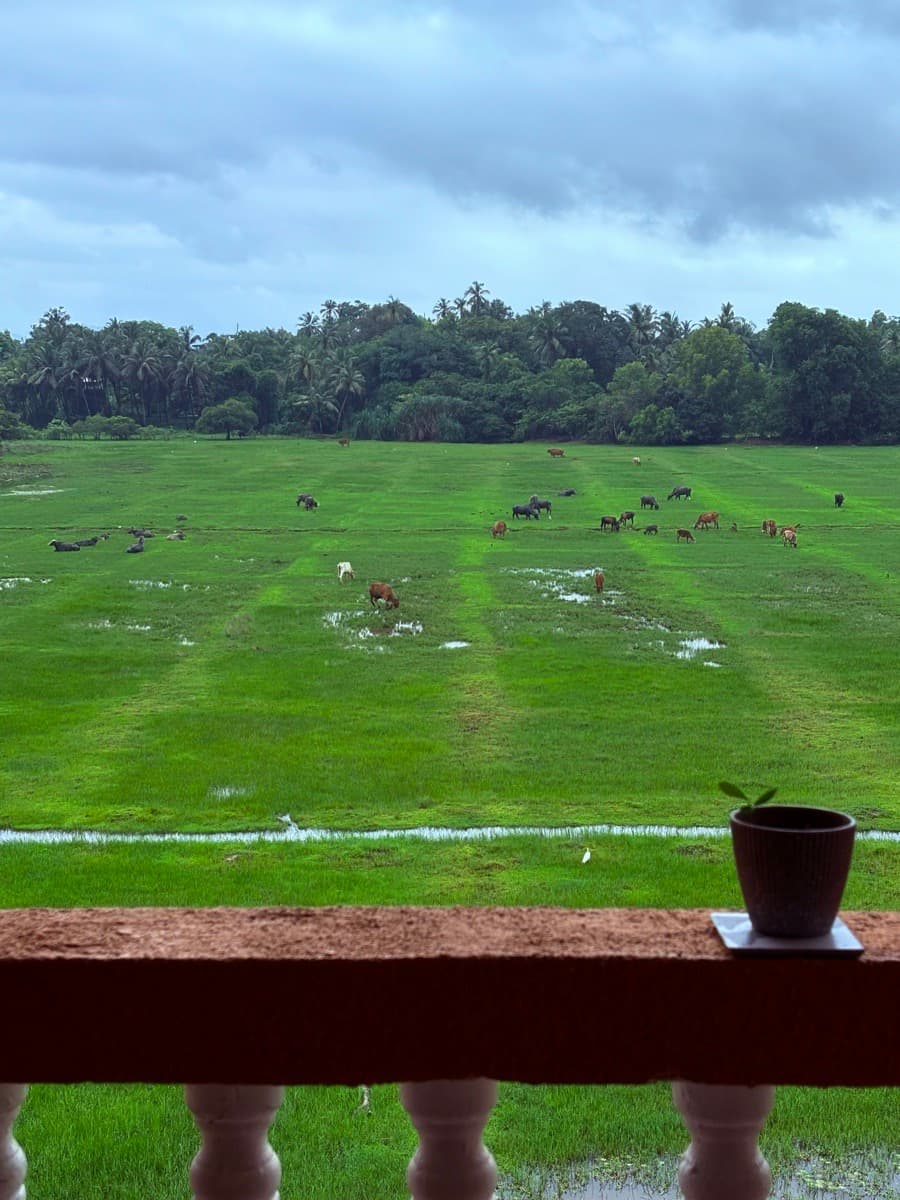 Harsha's home photo 5