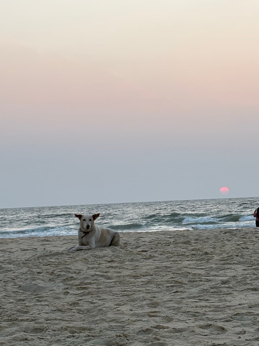 Harsha's profile photo