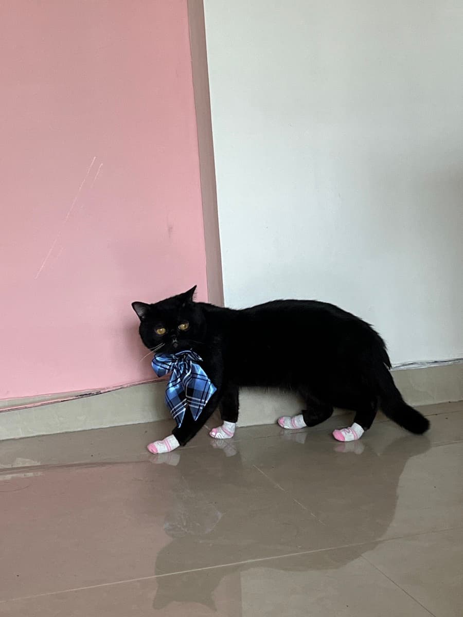 Sebastian's home photo 4