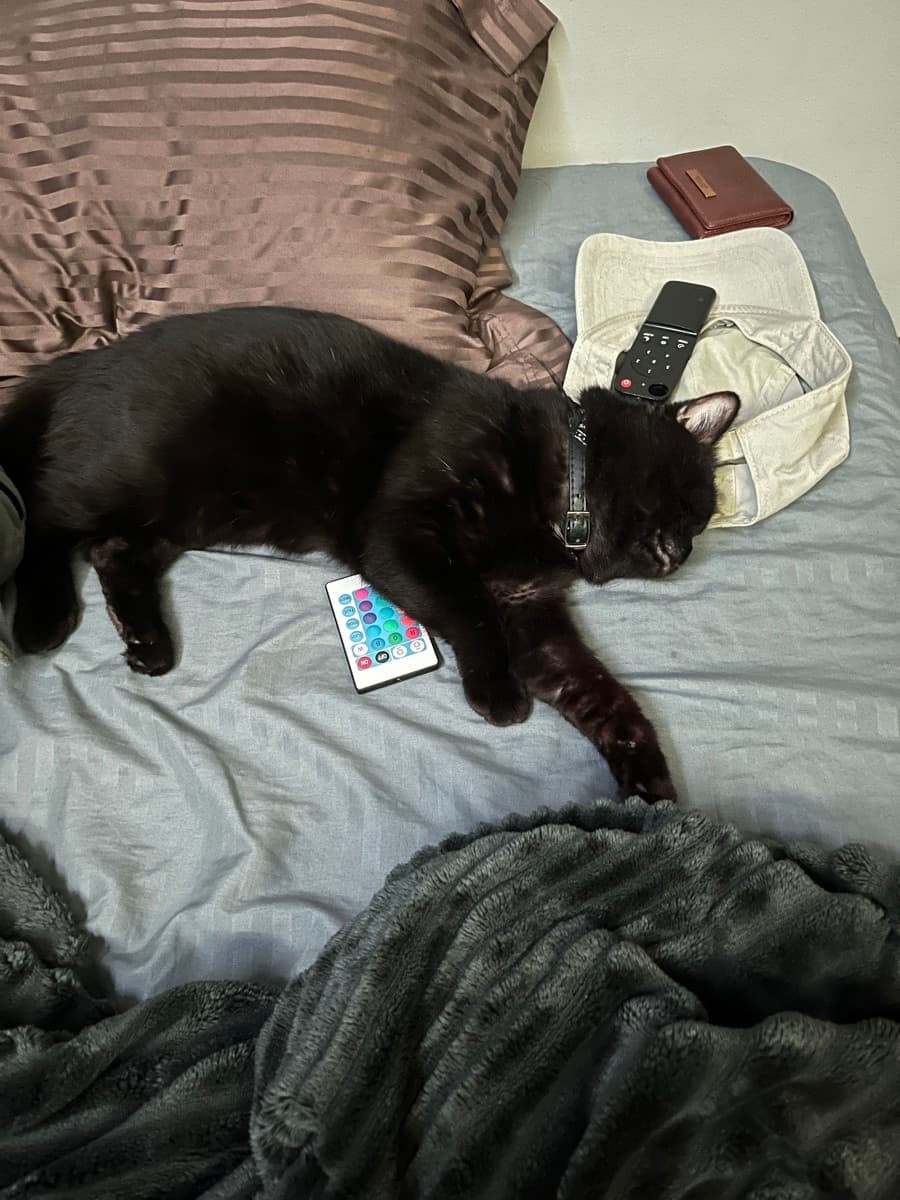 Sebastian's home photo 2