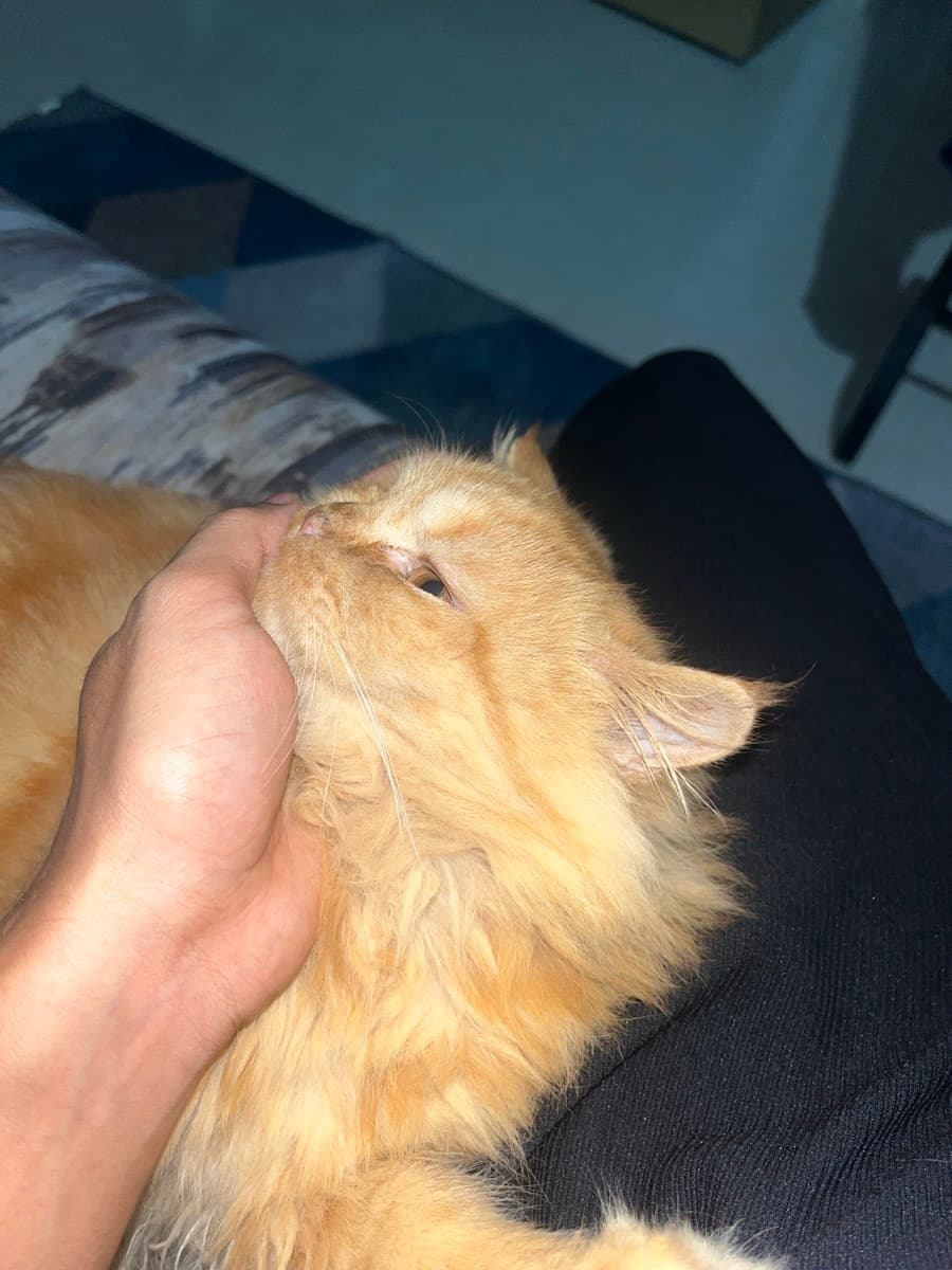 Sebastian's home photo 5