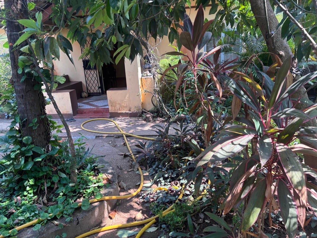 Ananya's home photo 1