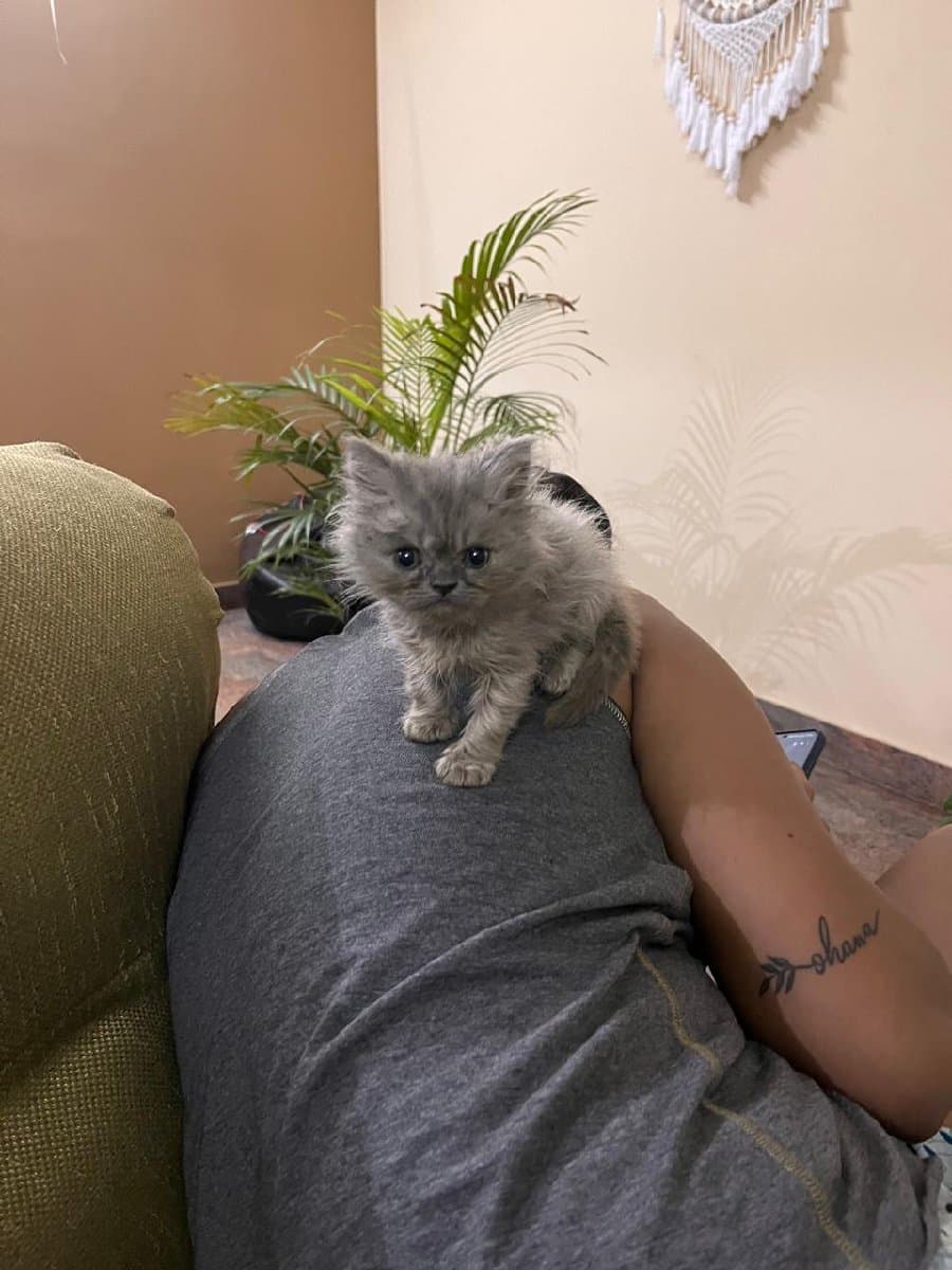 Steffi's home photo 1