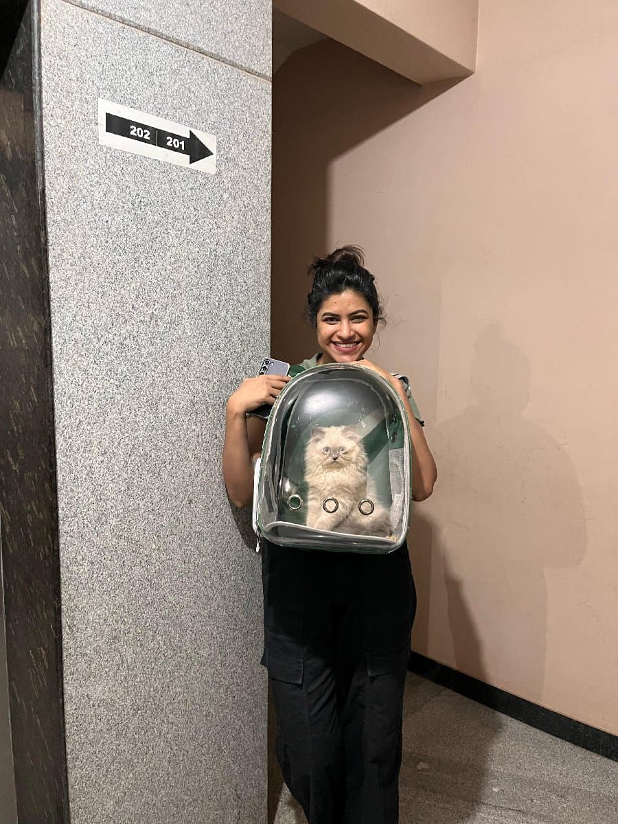 Steffi's profile photo