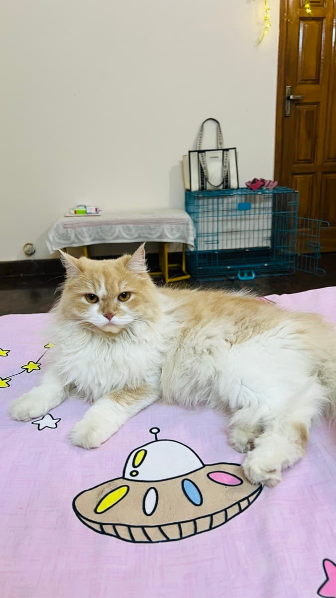 Shreya's home photo 1