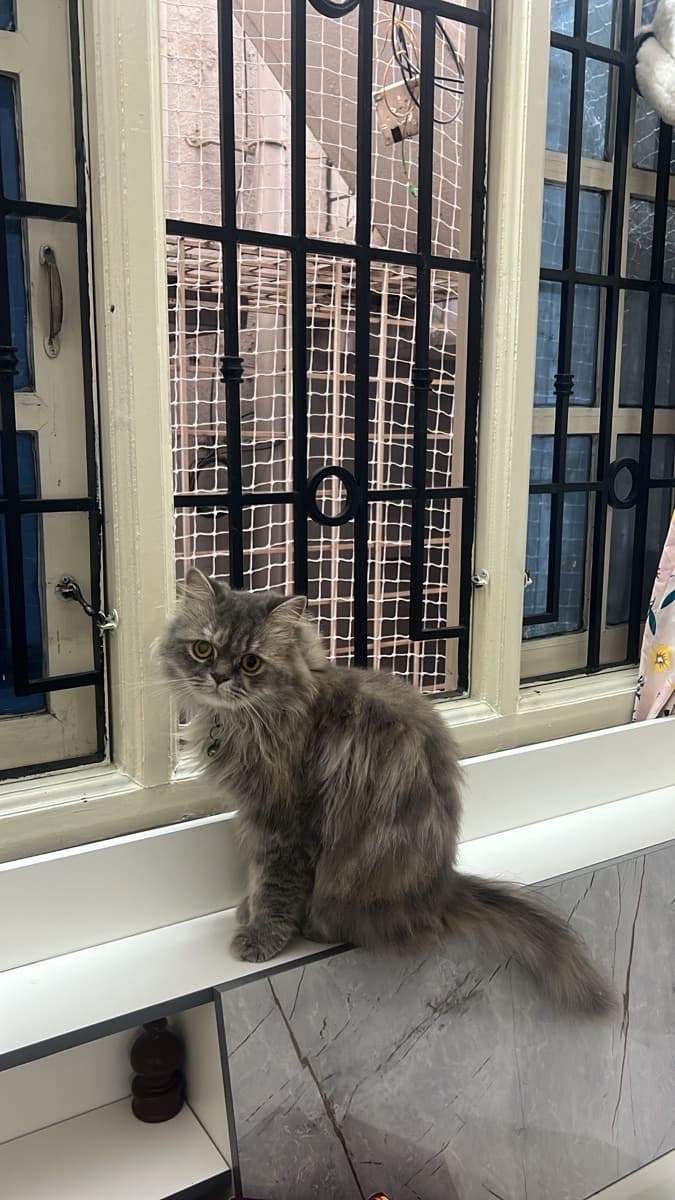 Shreya's home photo 2