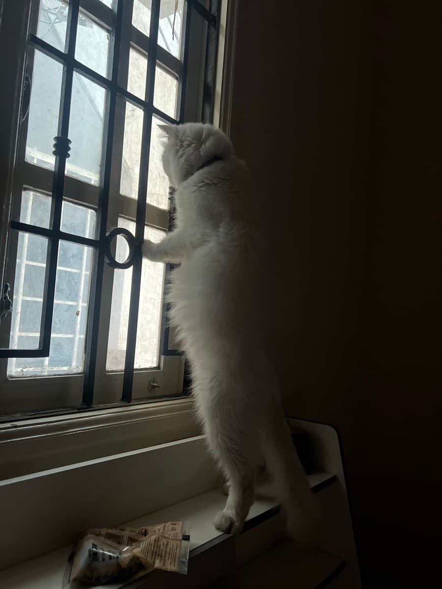 Shreya's home photo 4