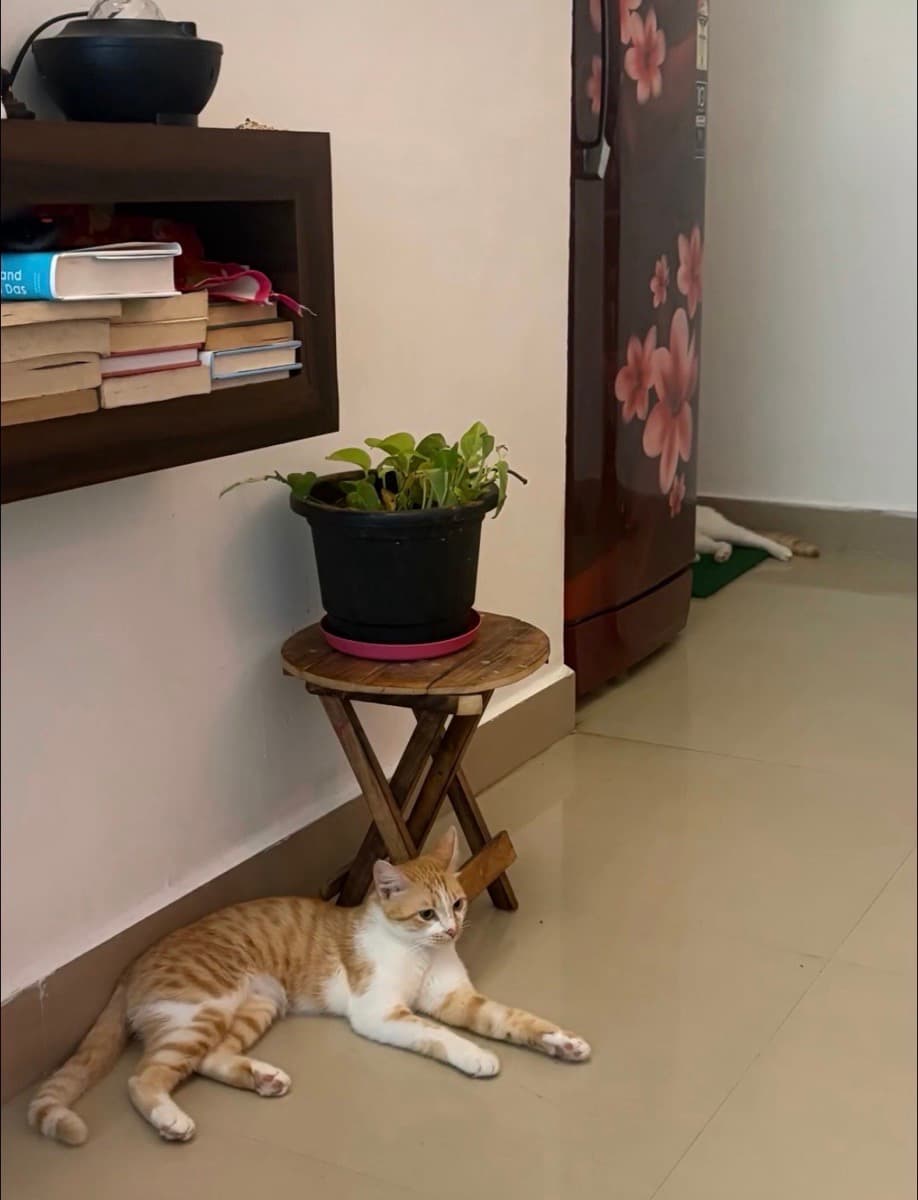 Anubha's home photo 2