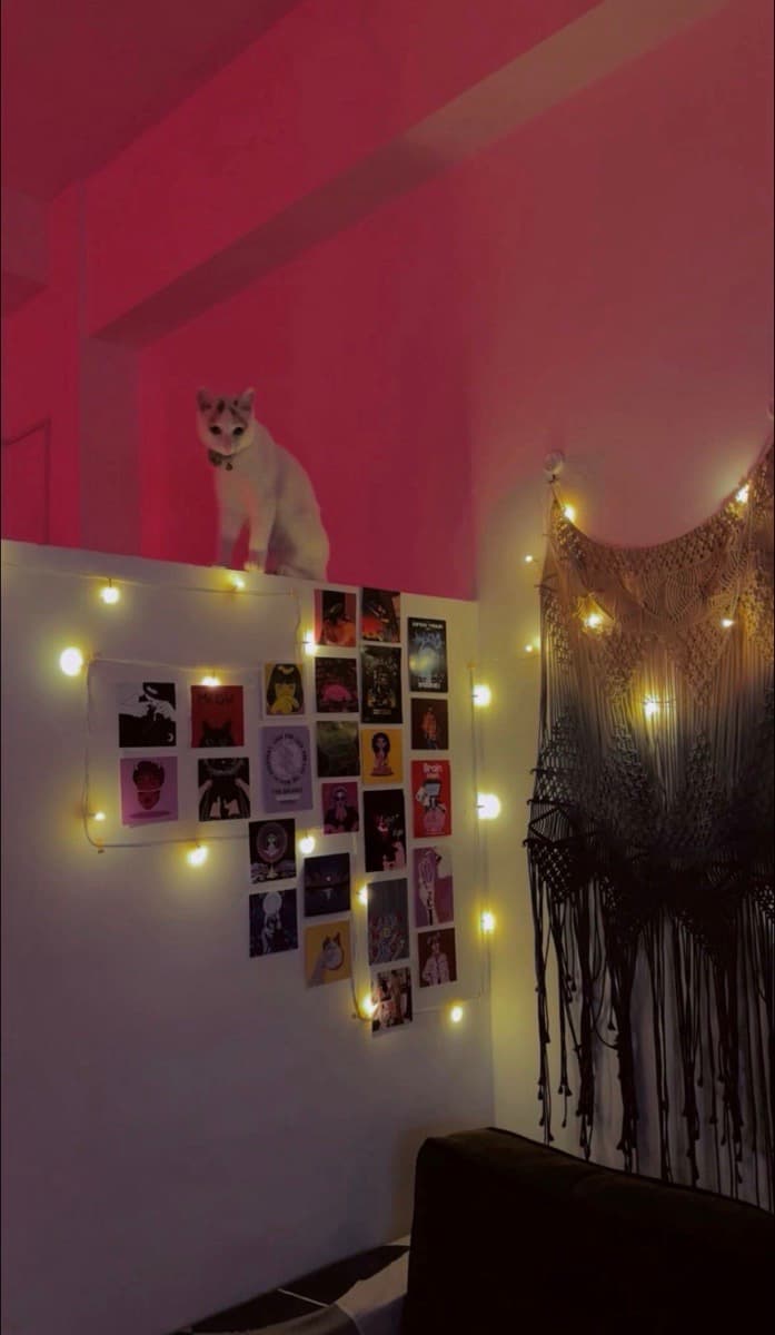 Anubha's home photo 3