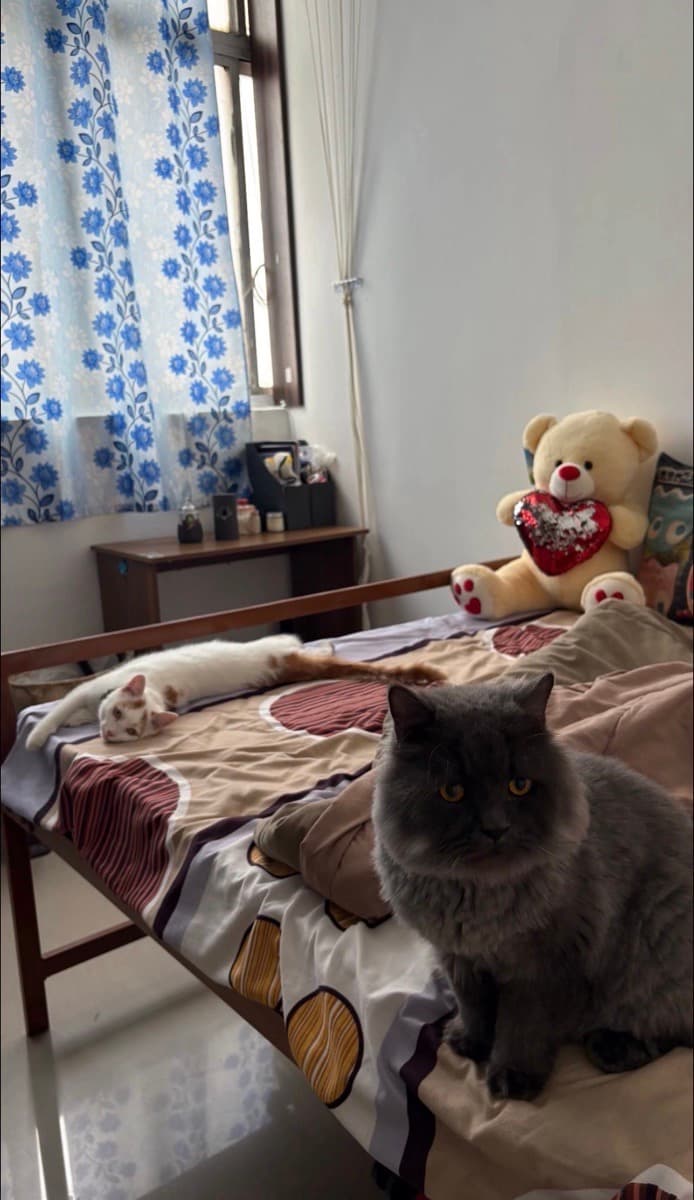 Anubha's home photo 4