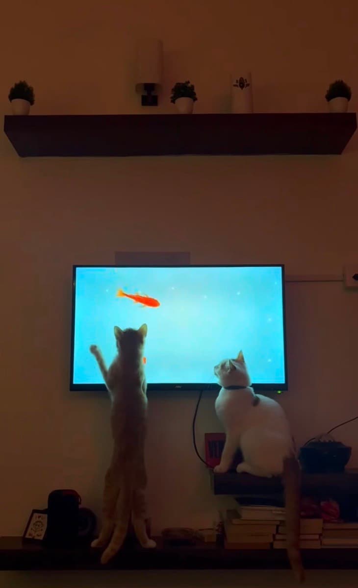 Anubha's home photo 1