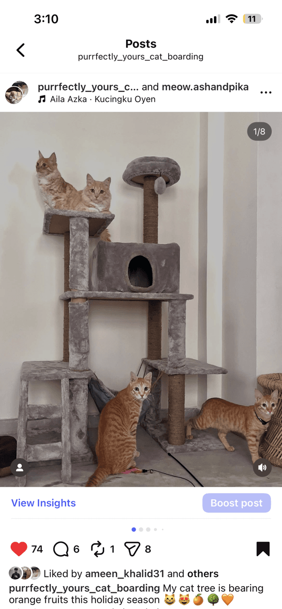 Madiha's home photo 1