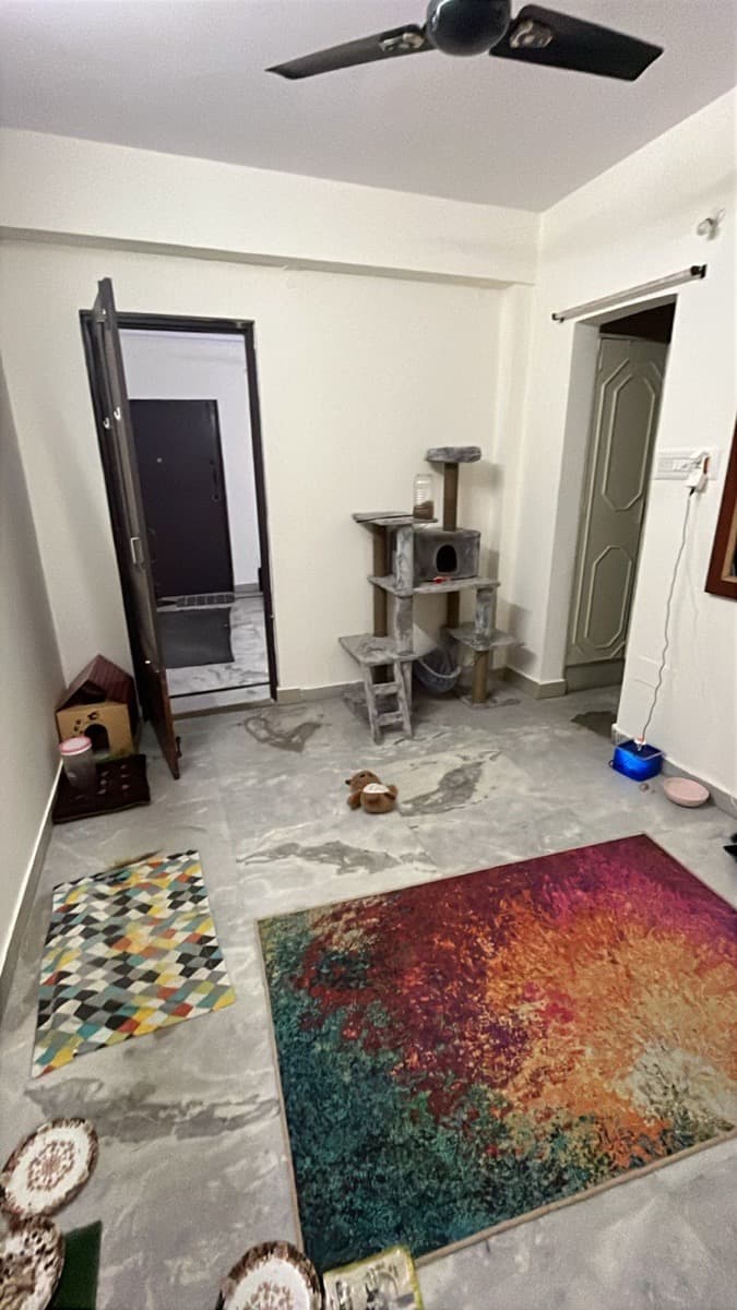 Madiha's home photo 3