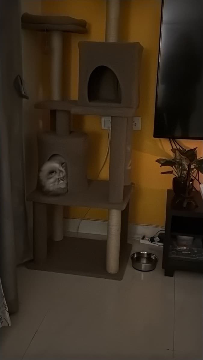 Shanice's home photo 2