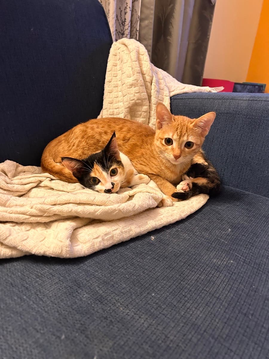 Shanice's home photo 3