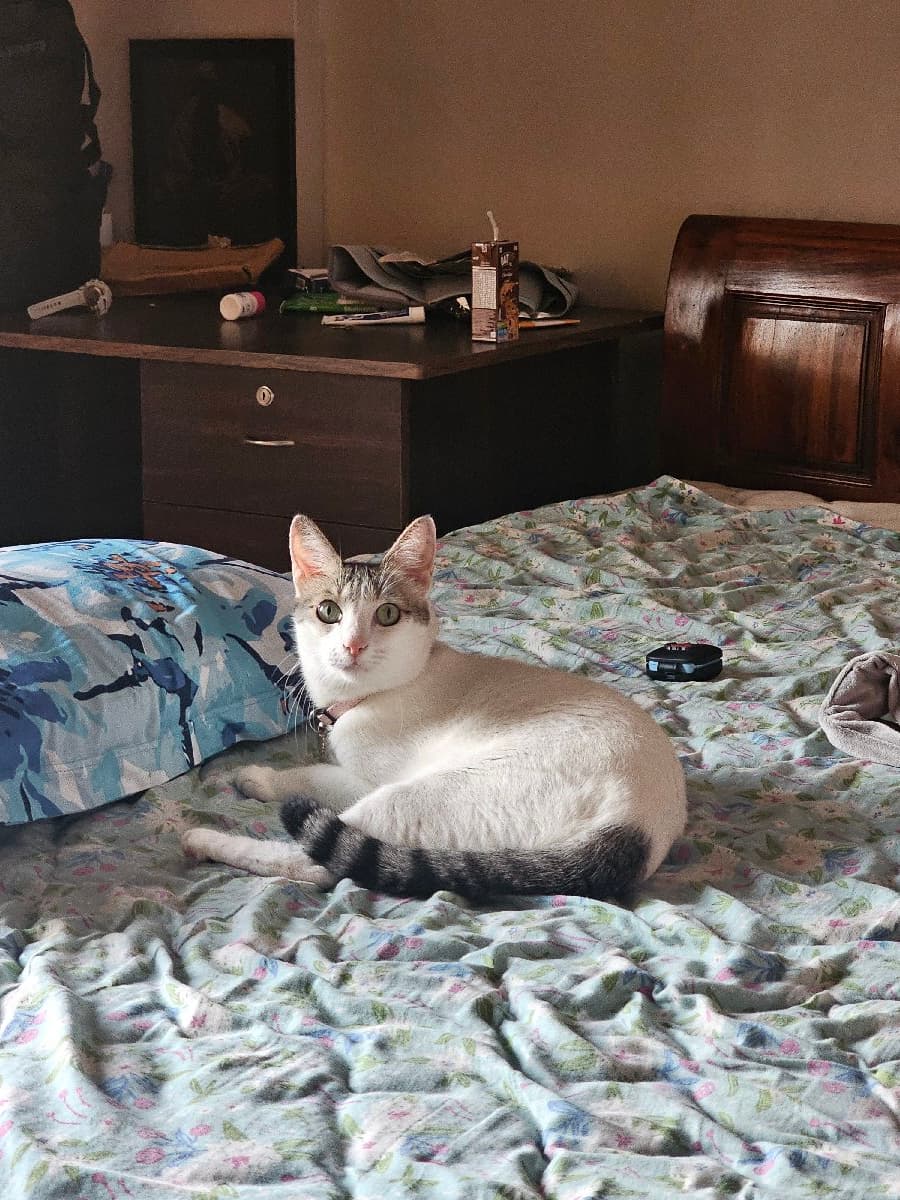 Reshma's home photo 1