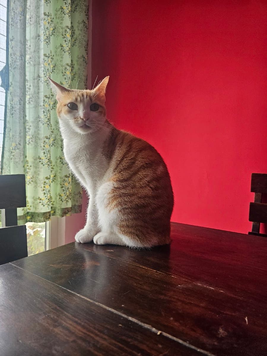 Reshma's home photo 3