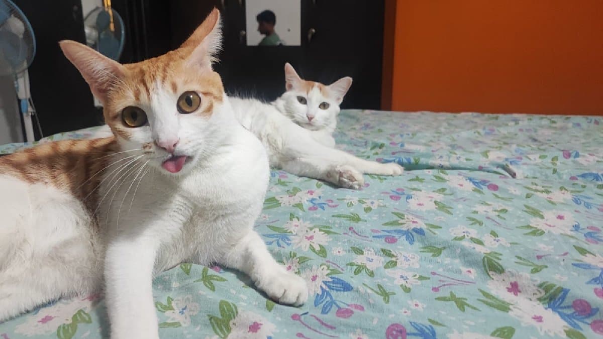 Reshma's home photo 2