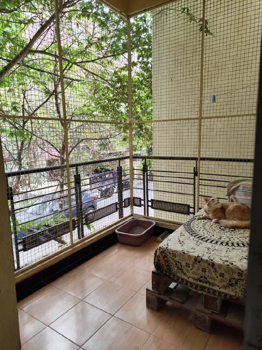 Pooja's home photo 3