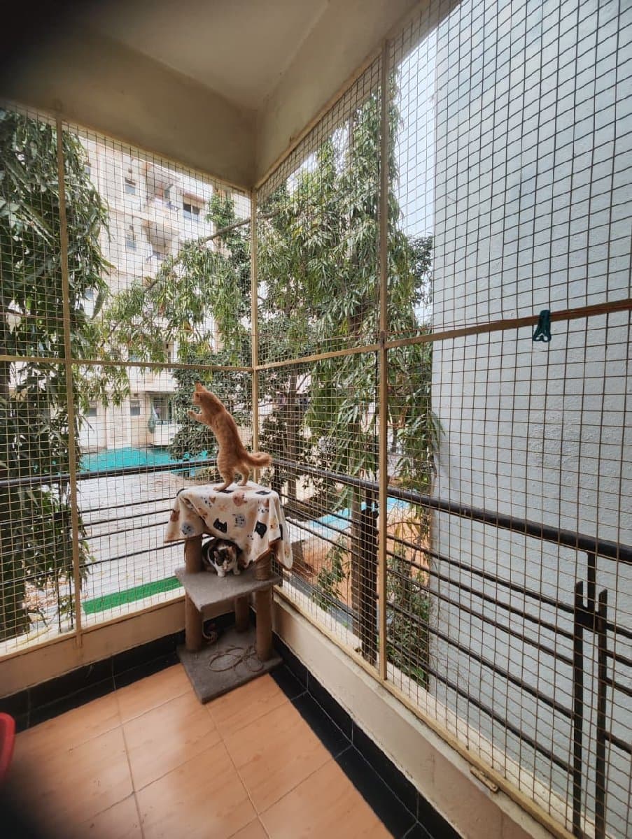 Pooja's home photo 1