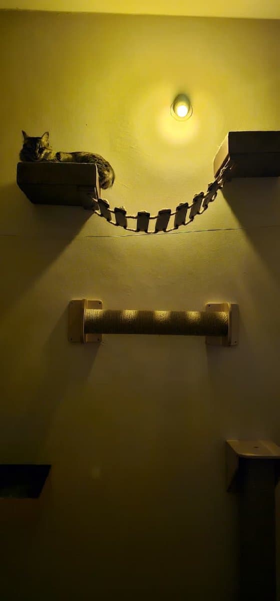 Pooja's home photo 4