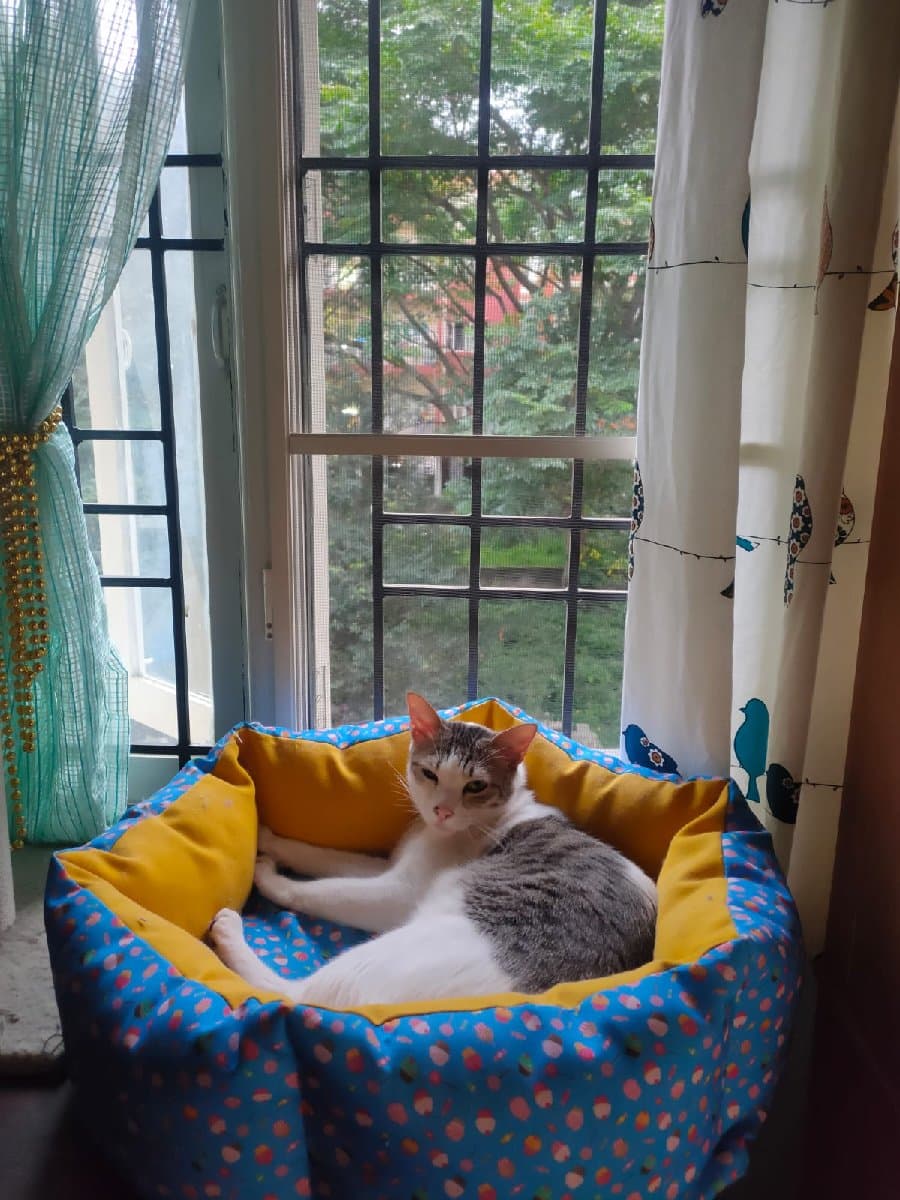 Pooja's home photo 2