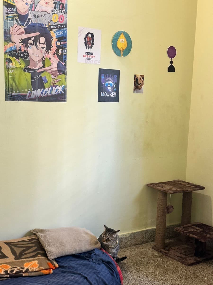 Marvin's home photo 2