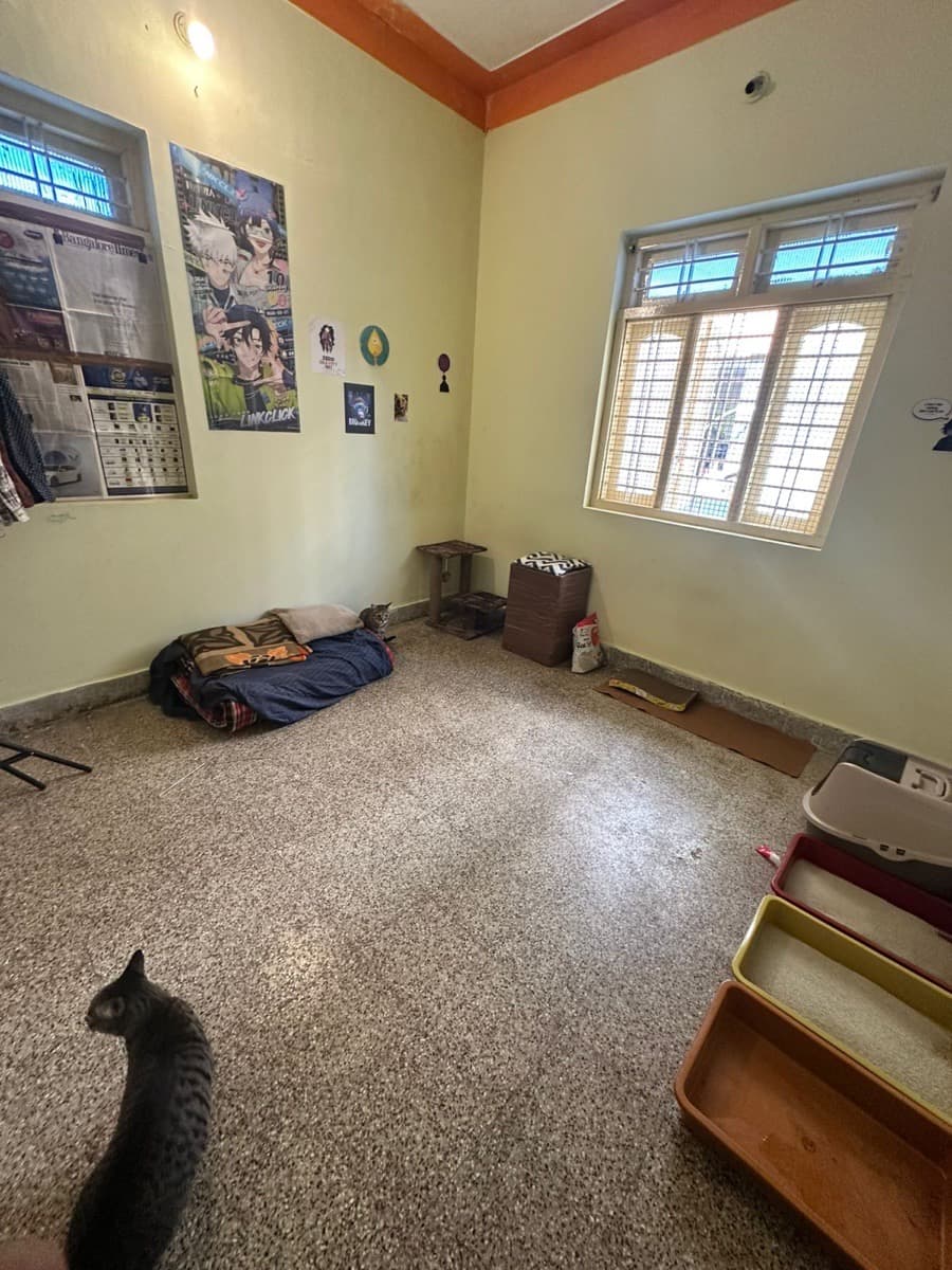 Marvin's home photo 3