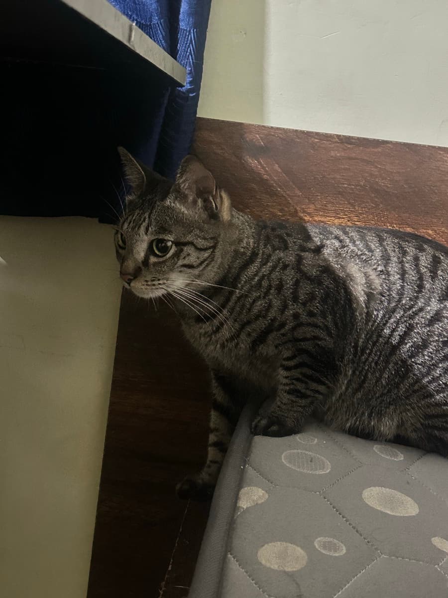 Marvin's home photo 4