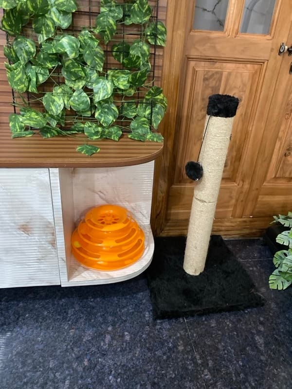 Ishita's home photo 4