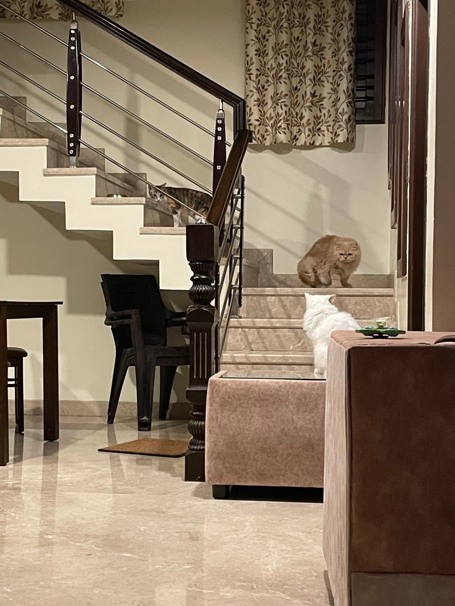 Fattin's home photo 1