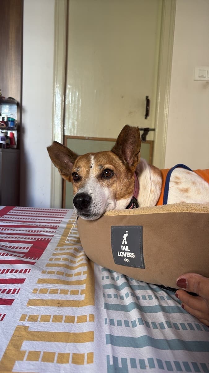 Rutumbhara's home photo 1