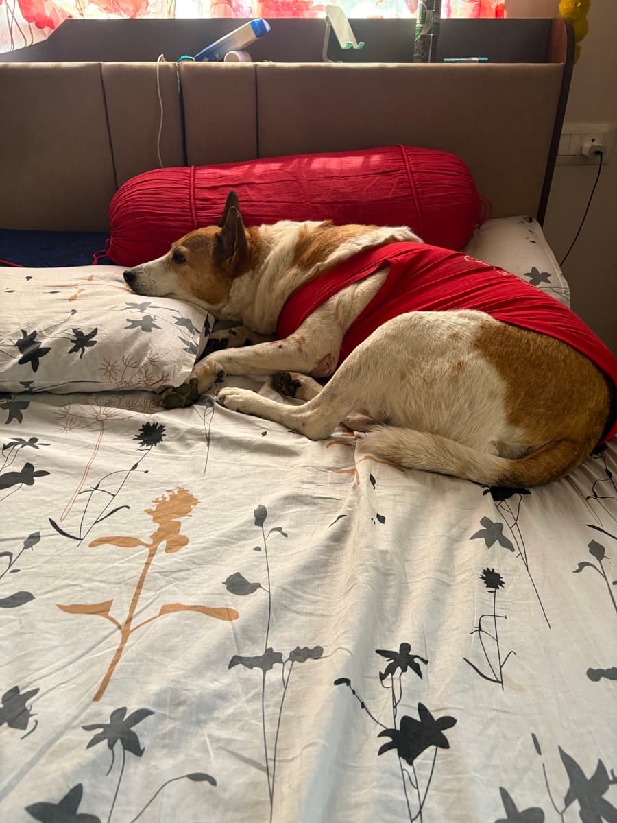 Rutumbhara's home photo 3