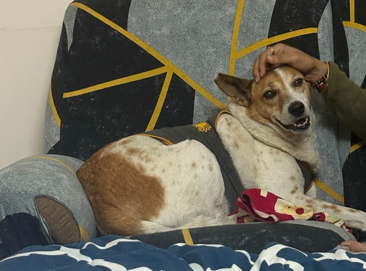 Rutumbhara's home photo 4