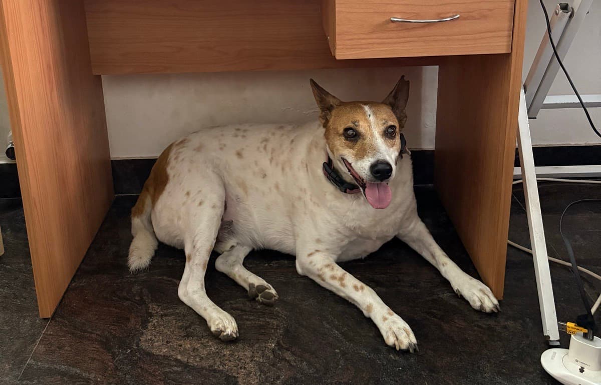 Rutumbhara's home photo 5