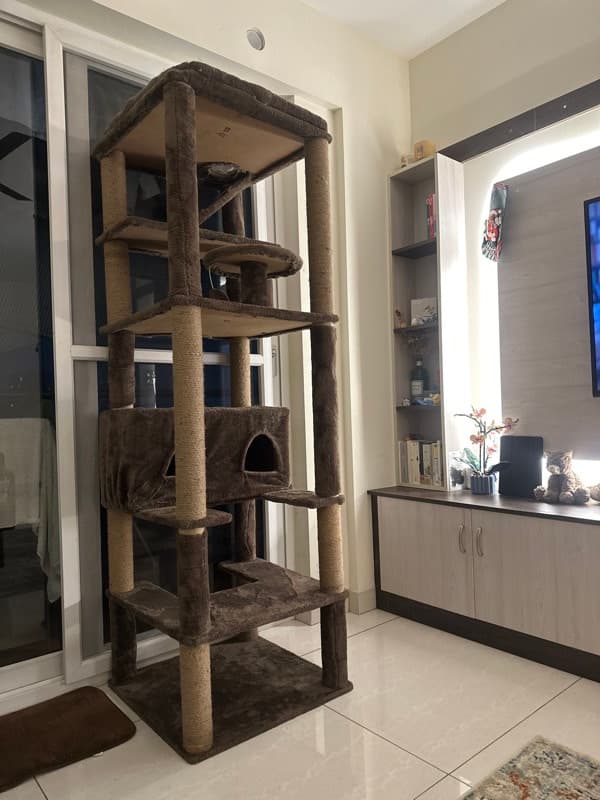 Kenith's home photo 1