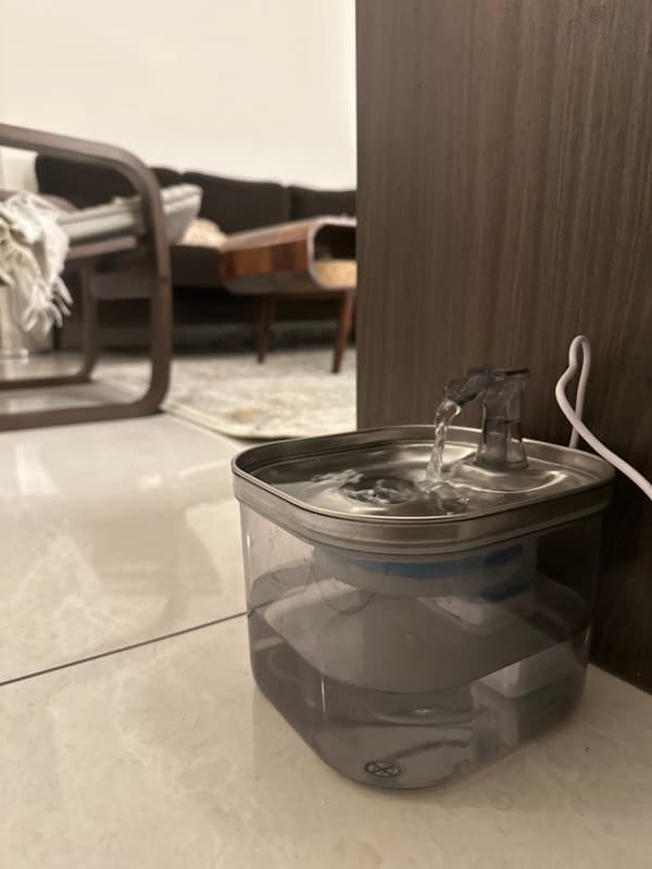 Kenith's home photo 3