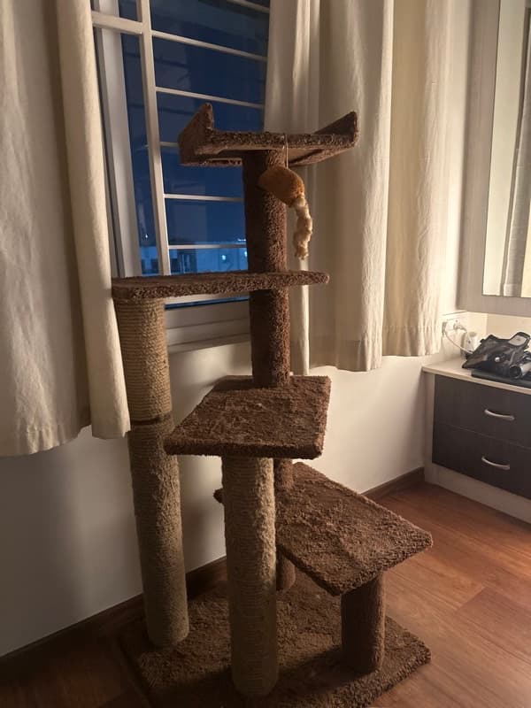 Kenith's home photo 4