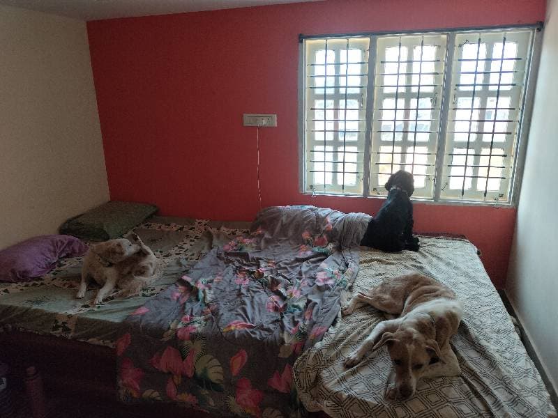 Ashwin's home photo 1