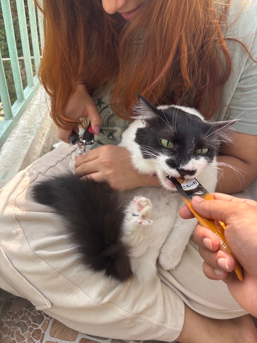 Ishita's home photo 5