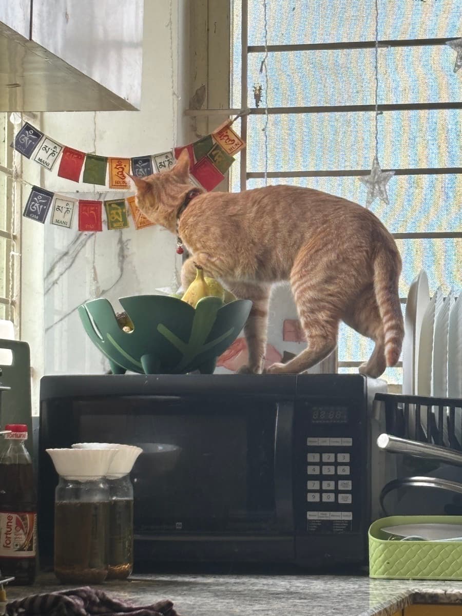 Ishita's home photo 6