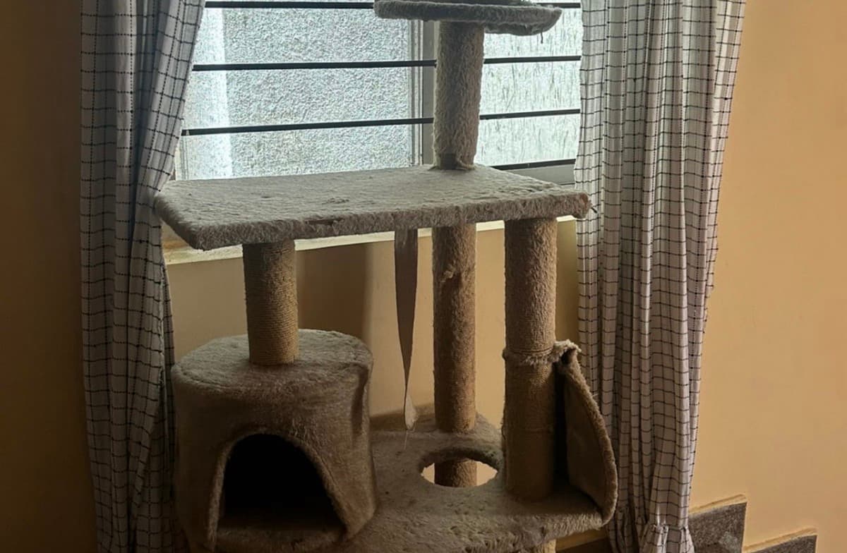 Sakshi's home photo 4