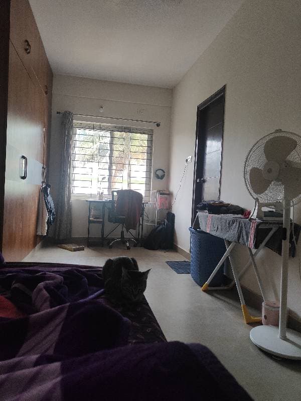 Rakhi's home photo 4