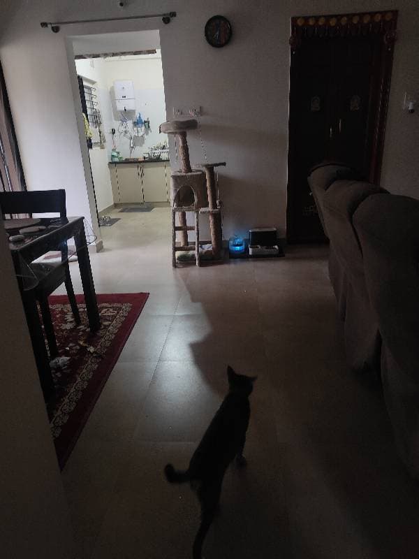 Rakhi's home photo 3