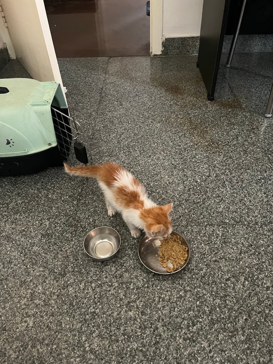 Edwin's home photo 2