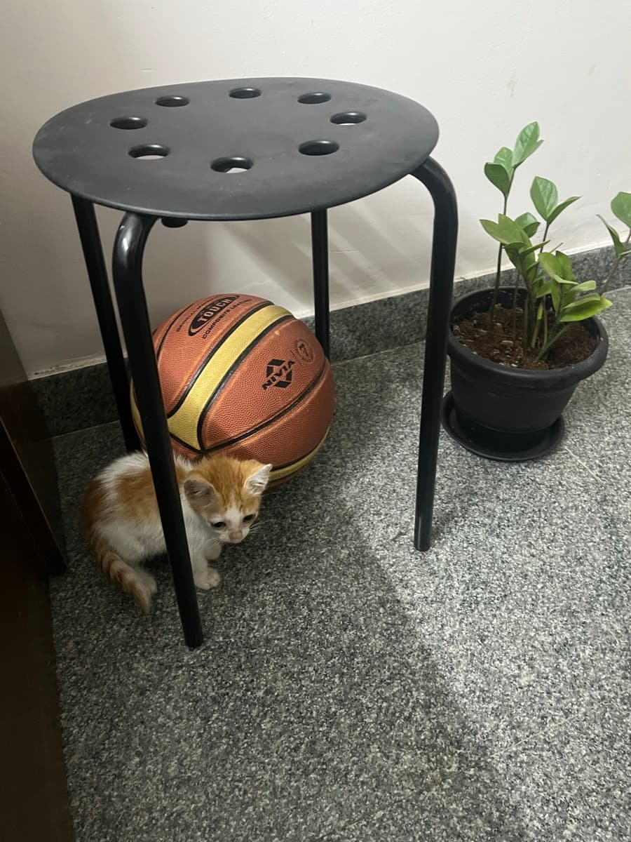 Edwin's home photo 1