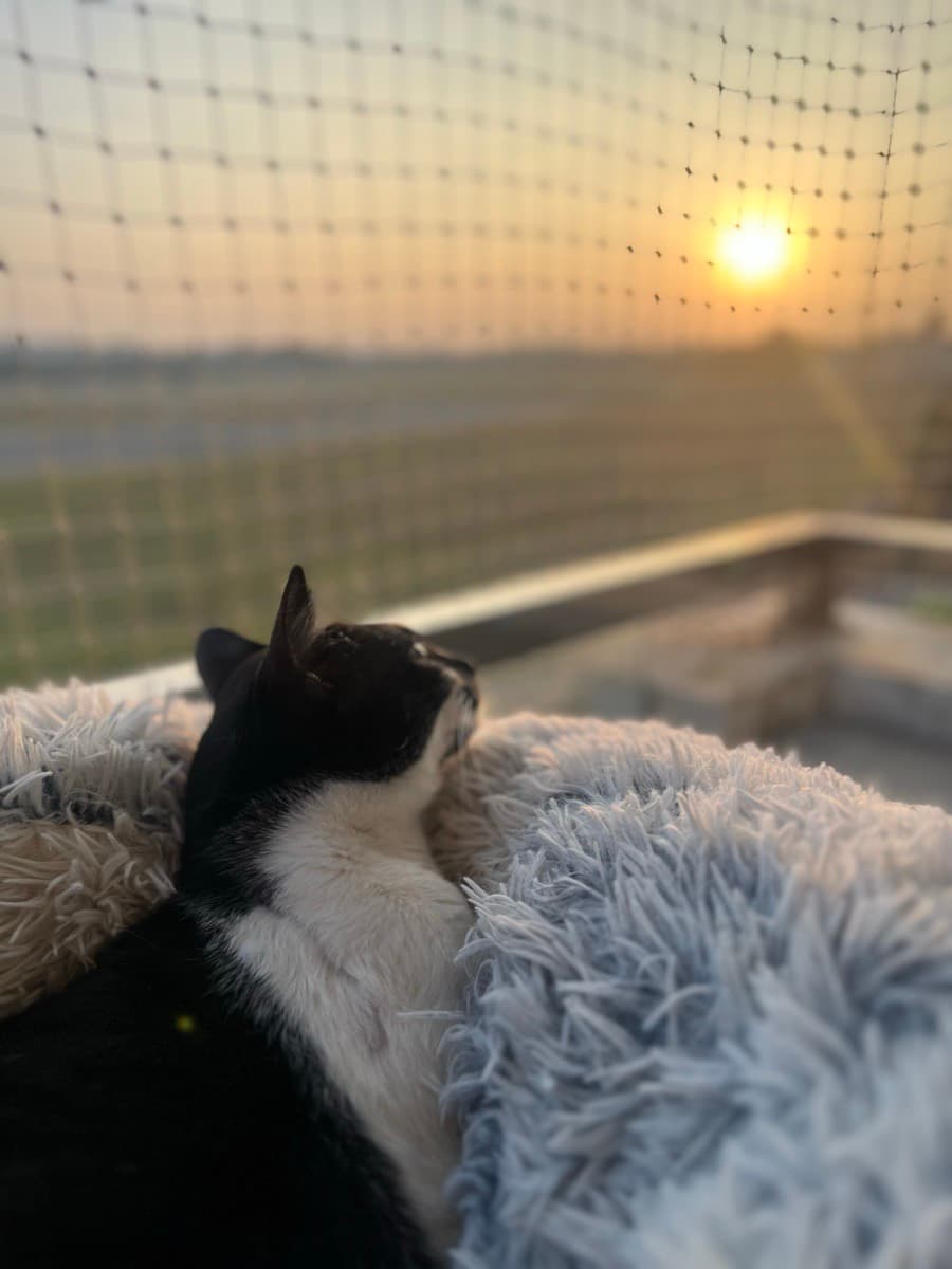 Aabha's home photo 2